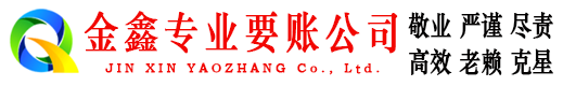 仁布追账公司